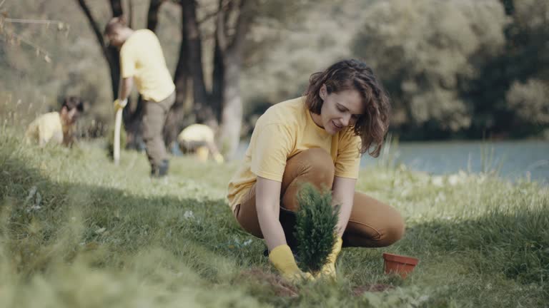 Tree and Shrub Care in Simi Valley, CA