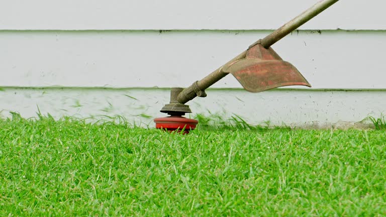 Best Root Management and Removal  in Simi Valley, CA