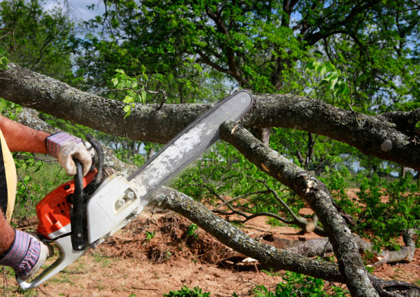 Soil Testing and Treatment in Simi Valley, CA